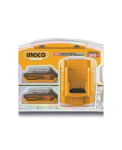 Battery pack con 2 batterie da 2ah + caricabatterie